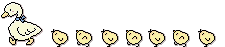 sticker Ducks